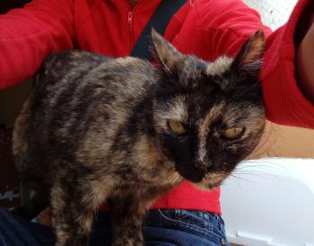 Alaska Bild von Alaska