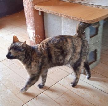 Alaska Bild von Alaska