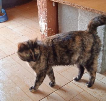 Alaska Bild von Alaska