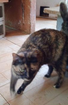 Alaska Bild von Alaska