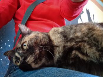 Alaska Bild von Alaska