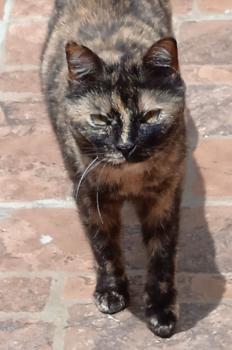 Alaska Bild von Alaska