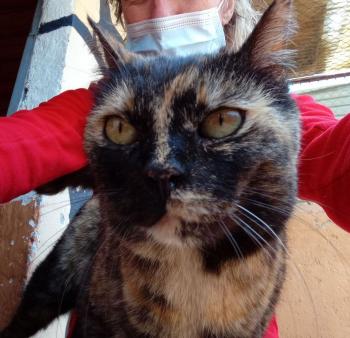 Alaska Bild von Alaska