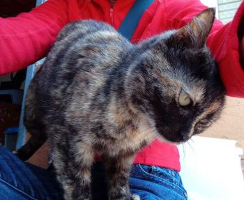 Alaska Bild von Alaska