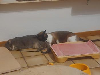 Summer Bild von Summer