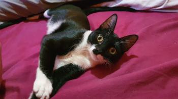 Wanda Bild von Wanda