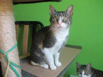 Nora Bild von Nora