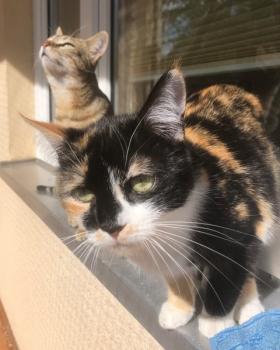 Lola Bild von Lola