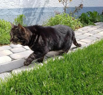 Bild von Junior