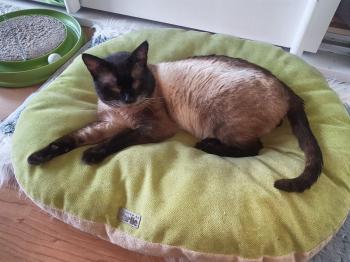 Cooper Bild von Cooper
