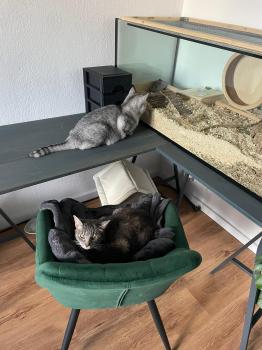 Moli Bild von Moli