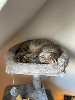 Moli Bild von Moli