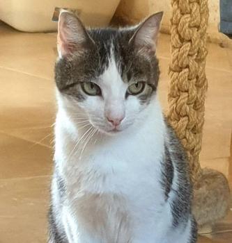 Chuchu Bild von Chuchu