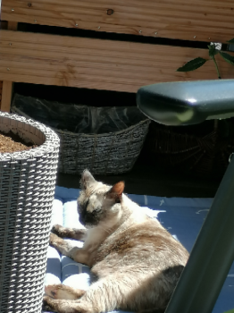 Bild von Tati