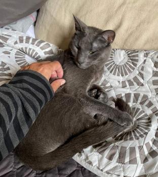 Clyde Bild von Clyde
