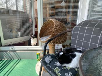 Hilda Bild von Hilda