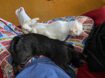 Bild von Thaio