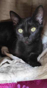 Lola Bild von Lola