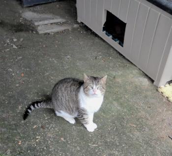 Marlon Bild von Marlon