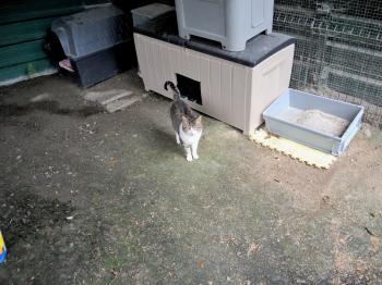 Marlon Bild von Marlon