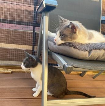 Oskar Bild von Oskar