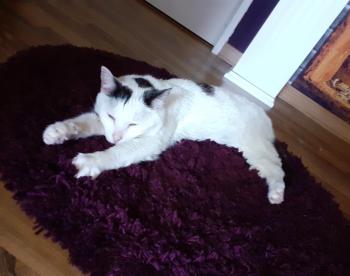 Carla Bild von Carla