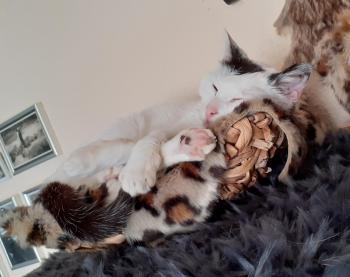 Carla Bild von Carla