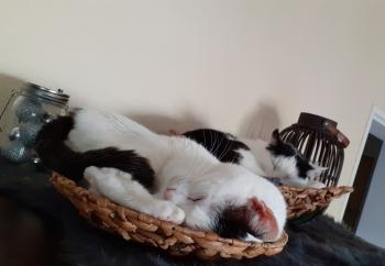 Carla Bild von Carla