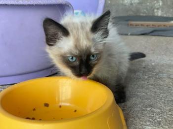 Talisa Bild von Talisa