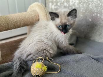 Talisa Bild von Talisa