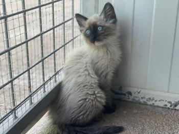 Talisa Bild von Talisa