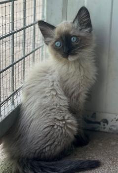 Talisa Bild von Talisa