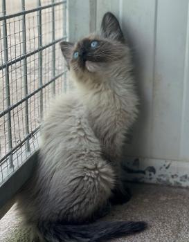 Talisa Bild von Talisa