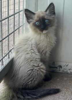 Talisa Bild von Talisa