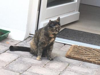 Solana Bild von Solana