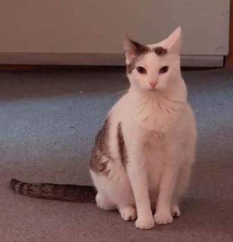Desirée Bild von Desirée