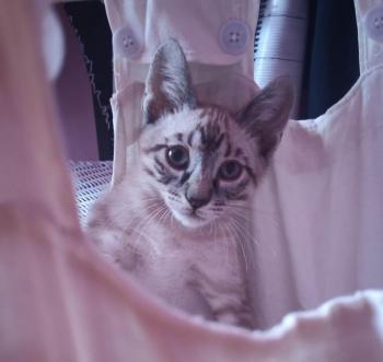 Camilo Bild von Camilo