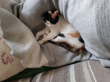Cyndi Bild von Cyndi