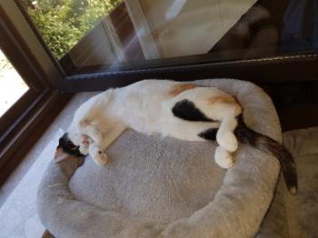 Cyndi Bild von Cyndi