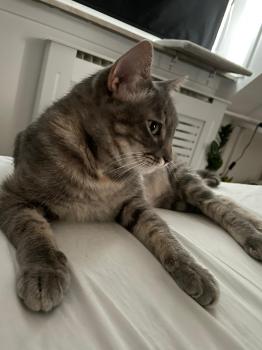 Moli Bild von Moli