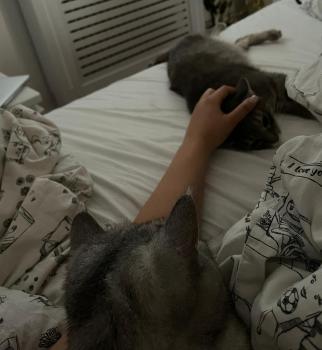 Moli Bild von Moli