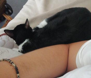 Wanda Bild von Wanda