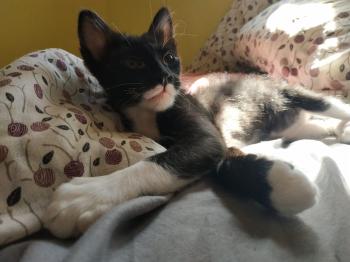 Evita Bild von Evita