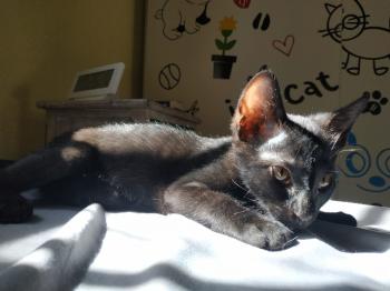 Livia Bild von Livia