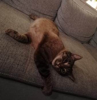 Ares Bild von Ares