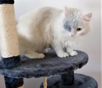 Tokio Bild von Tokio