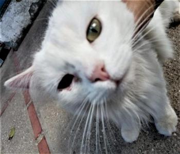 Tokio Bild von Tokio