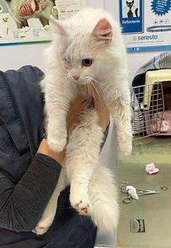 Tokio Bild von Tokio