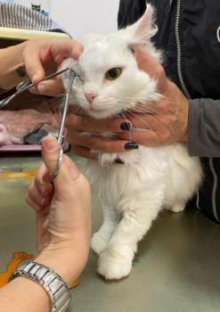 Tokio Bild von Tokio