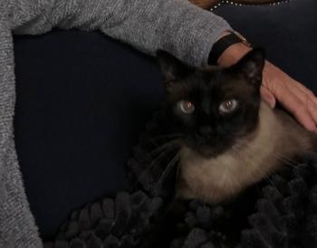 Riki Bild von Riki